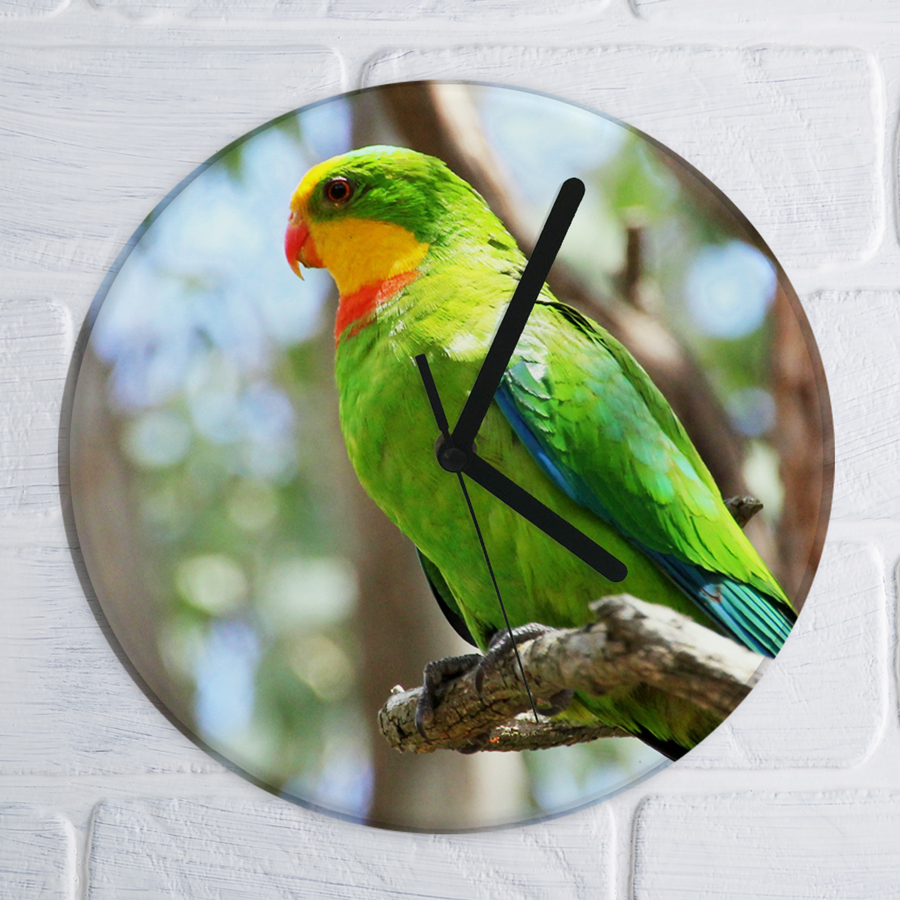 Superb Parrot clock.