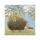 25-piece jigsaw puzzle featuring an illustrated echidna.