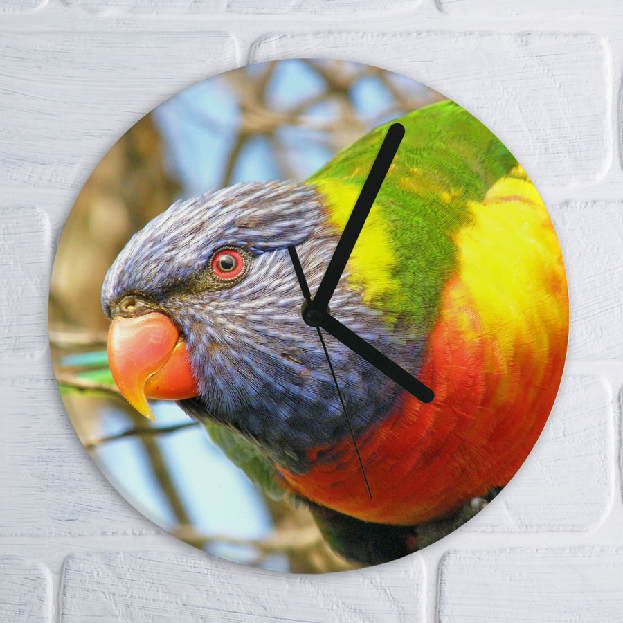 Rainbow Lorikeet clock.
