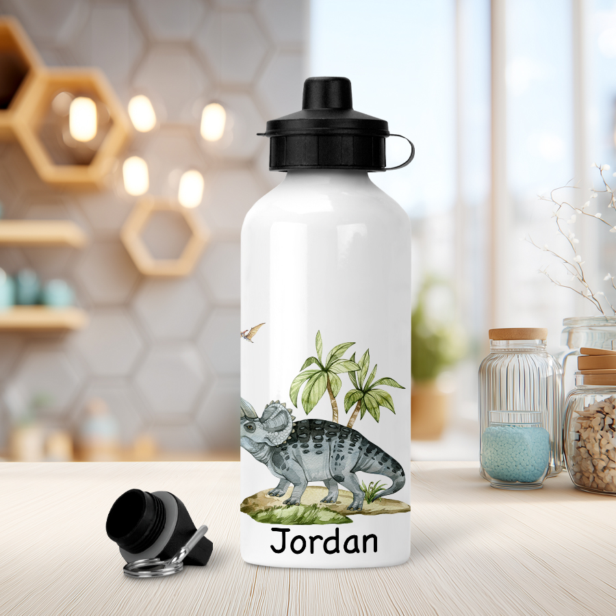 Aluminium water bottle featuring a Triceratops and name.